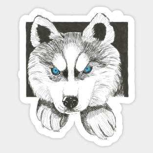 Husky Sticker